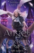 Cover: Angel Academy - Lost Window LLC