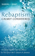 Cover: Rebaptism Calmly Considered - Wipf & Stock Publishers