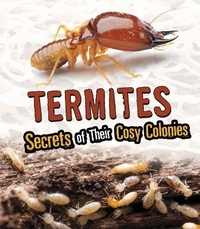 Enlarge image Cover: Termites - Raintree