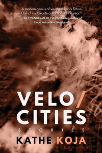 Enlarge image Cover: Velocities - Meerkat Press