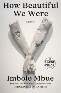 Enlarge image Cover: How Beautiful We Were - Random House Large Print