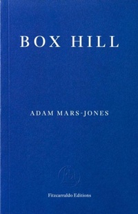 Enlarge image Cover: Box Hill - Fitzcarraldo Editions