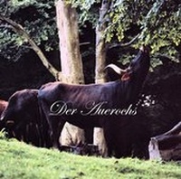 Abbildung von: Der Auerochs - Nova MD