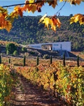 Cover: The World Winery Collection - Forma Edizioni
