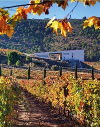 Enlarge image Cover: The World Winery Collection - Forma Edizioni