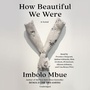 Cover: How Beautiful We Were - Random House US Audio