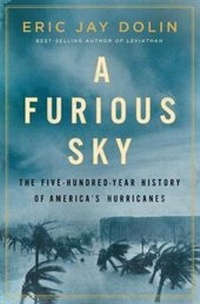 Abbildung von: A Furious Sky - Liveright Publishing Corporation