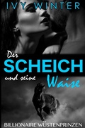 Cover: Billionaire W&uuml;stenprinzen / Der Scheich und seine Waise - epubli
