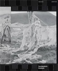 Cover: Michael H&ouml;pfner - Durchwanderte Kreisl&auml;ufe | Wandered Cycles | Vagava Attraverso i Circuiti - Bibliothek der Provinz