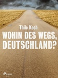 Cover: Wohin des Wegs, Deutschland? - Saga Egmont