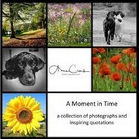 Enlarge image Cover: A Moment in Time - Thumbnail Media