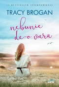 Cover: Nebunie de-o vara - Litera Media Group