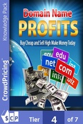 Cover: Domain name profits - Scribl