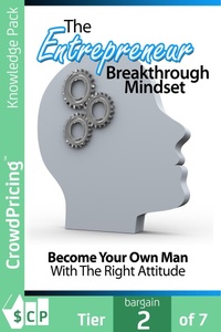 Abbildung von: The Entrepreneur Breakthrough Mindset - Scribl