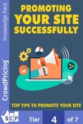 Cover: Promoting Your Site Successfully - Scribl