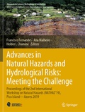 Cover: Advances in Natural Hazards and Hydrological Risks: Meeting the Challenge - Springer