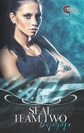 Cover: Seal Team Two - BoD - Books on Demand