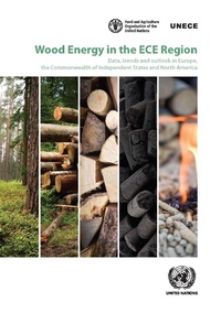 Abbildung von: Wood Energy in the ECE Region - United Nations