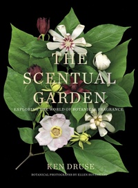 Abbildung von: The Scentual Garden - Abrams