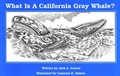 Cover: What Is A California Grey Whale? - American Traveler Press