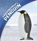 Cover: A Day in the Life of a Penguin - Raintree