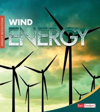 Enlarge image Cover: Wind Energy - Raintree