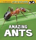 Cover: Amazing Ants - Raintree