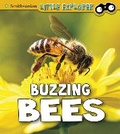 Cover: Buzzing Bees - Raintree