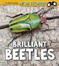 Cover: Brilliant Beetles - Raintree