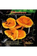 Cover: Phrotose - Austin Macauley Publishers