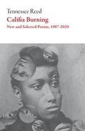 Cover: Califia Burning - Dalkey Archive Press