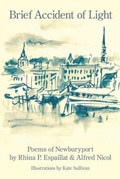 Cover: Brief Accident of Light - Kelsay Books