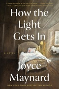 Cover: How the Light Gets In - HarperCollins