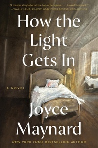 Enlarge image Cover: How the Light Gets In - HarperCollins