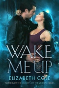 Cover: Wake Me Up (The Brothers Salem, #3) - Skyspark Books