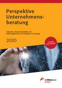 Abbildung von: Perspektive Unternehmensberatung 2020 - e-fellows.net