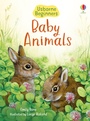 Cover: Baby Animals - Usborne Publishing Ltd