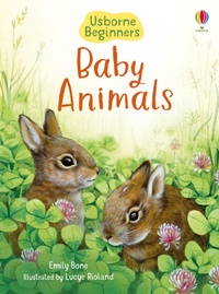 Enlarge image Cover: Baby Animals - Usborne Publishing Ltd