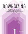 Cover: Downsizing - Callisto