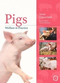 Cover: Pigs Welfare in Practice - 5M Books Ltd