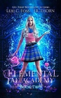 Cover: Elemental Fae Academy - Ninja Newt Publishing, LLC