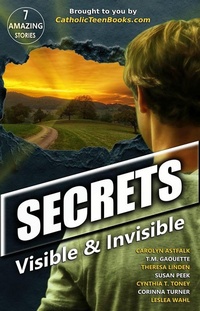 Enlarge image Cover: Secrets: Visible & Invisible (Visible & Invisible Series) - Visible & Invisible Series