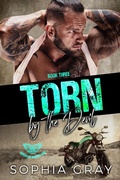 Cover: Torn by the Devil (Book 3) - Broken Wings MC