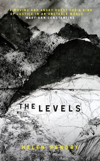 Enlarge image Cover: The Levels - Parthian Books