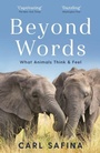 Cover: Beyond Words - Souvenir Press Ltd