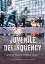 Cover: Juvenile Delinquency - Rowman & Littlefield Publishers