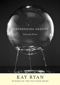 Enlarge image Cover: Synthesizing Gravity - Grove Press