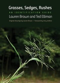 Cover: Grasses, Sedges, Rushes - Yale University Press