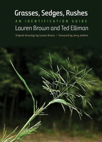 Enlarge image Cover: Grasses, Sedges, Rushes - Yale University Press