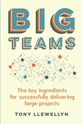 Cover: Big Teams - Practical Inspiration Publishing